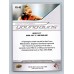 2025 Upper Deck Goodwin Champions Dakota Ditcheva #YG-42 Young Guns Rookie MMA - Womens 1:3 Hobby, 1:3 e-Pack, 1:3 Blaster